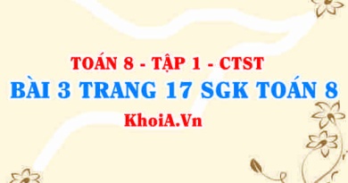 Bài 3 trang 17 SGK Toán 8 Tập 1 Chân trời sáng tạo